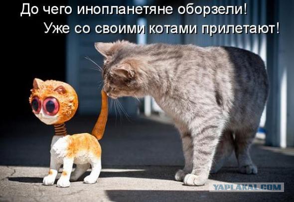 Без паники земляне