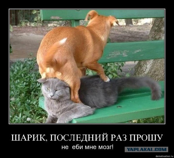 Как нам врут по ТВ в разных шоу