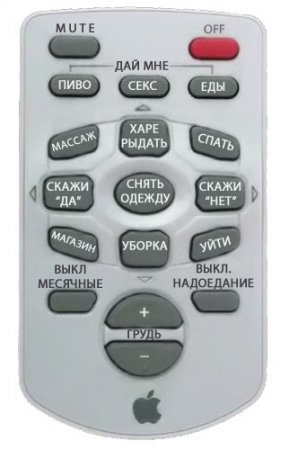 Компьютерная жена - Вика.