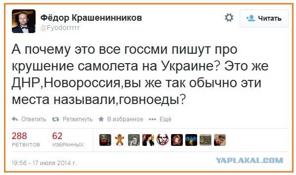 На Украине рухнул Боинг-777 малайзийских авиалиний