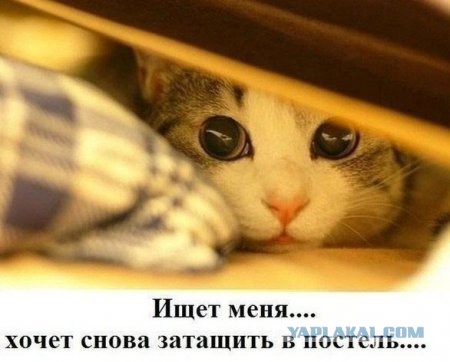 Чёрт, чёрт, чёрт!