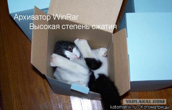 Немного смешных картинок из сети