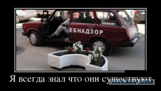 Смешные картинки