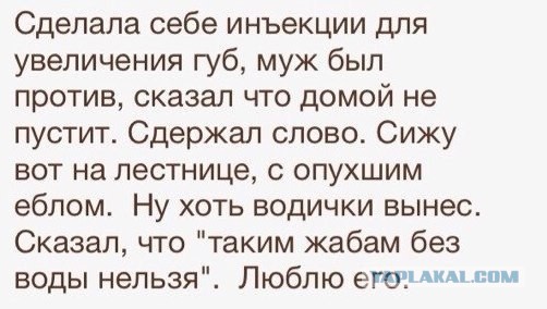 Веселые картинки