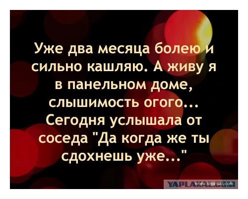 Весёлые картинки