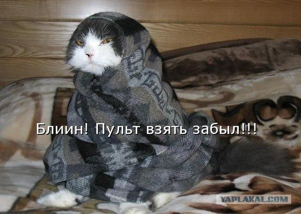 Весёлое из сети