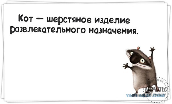 Весёлое из сети