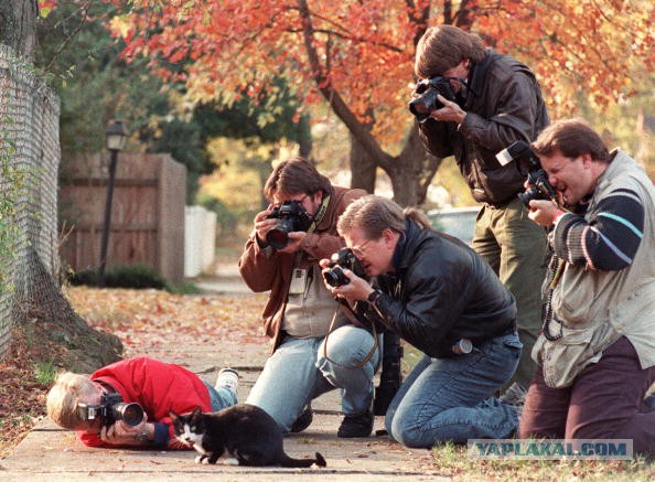 На что готовы фотографы ради удачного кадра