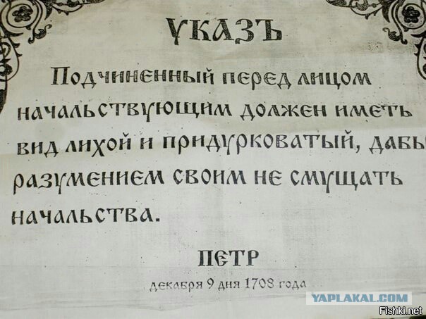 Забавные картинки из сети