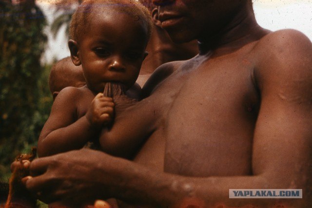 Сиськи в Африке. Этнографическое исследование