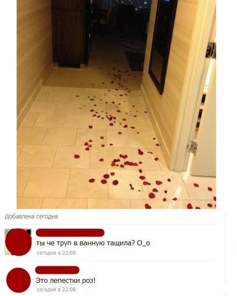Ужасы и приколы из соцсетей 18+