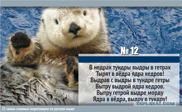 25 сложнейших русских скороговорок