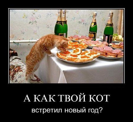 Страшнее кошки зверя нет!