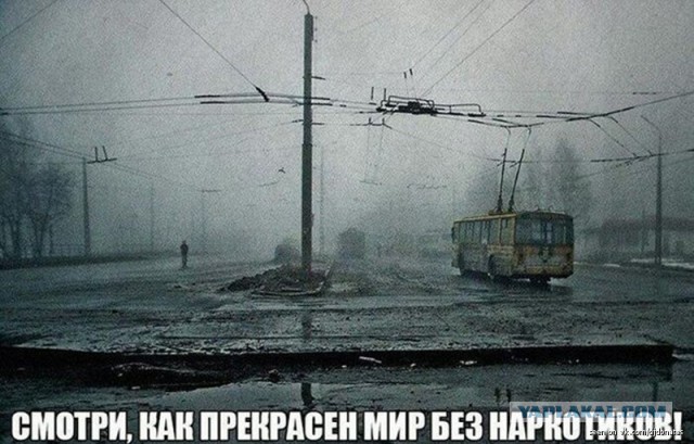 Допинг для ума: модафинил