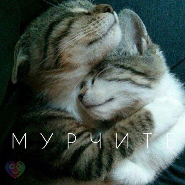 А давайте улыбнёмся