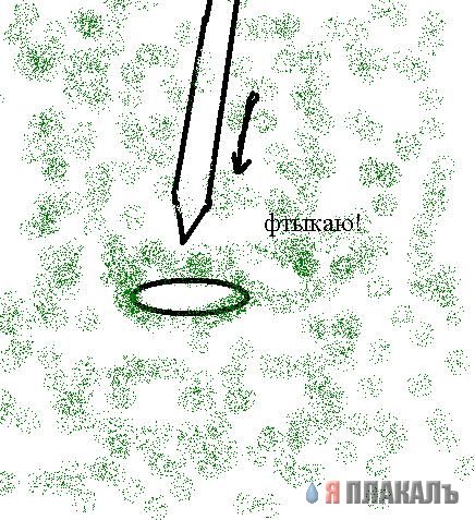 Газенваген