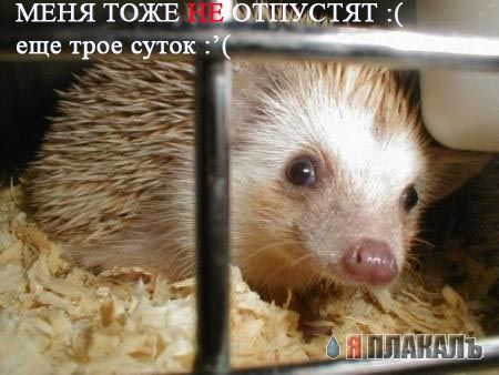 Уже да :) Ужо пятнецца...