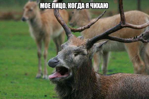 Свежая подборка картинок