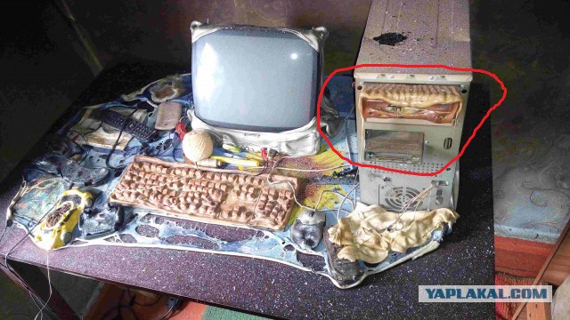 Телевизор - это зло!