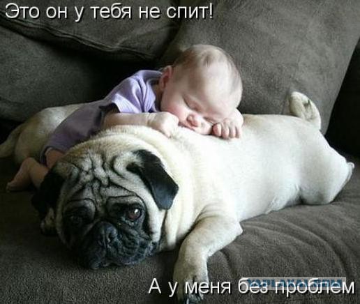 Родители оставили младенца с собакой. Вернувшись, они обнаружили это…