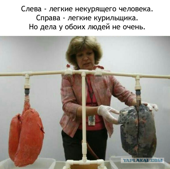 Четыре продукта для восстановления легких курильщика