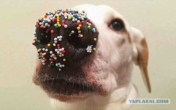 Подборка интересных и веселых картинок