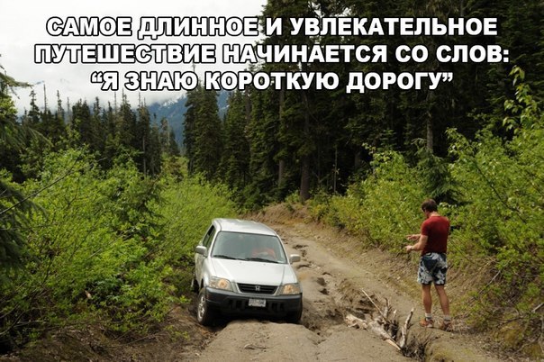 Ассорти картинок из сети