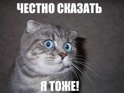 Что с людьми делает халява
