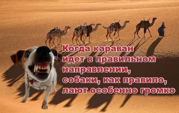 Чонгарская перемога. Новый сезон!