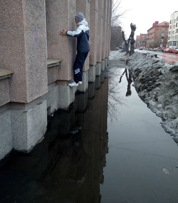 Подборка безудержного веселья