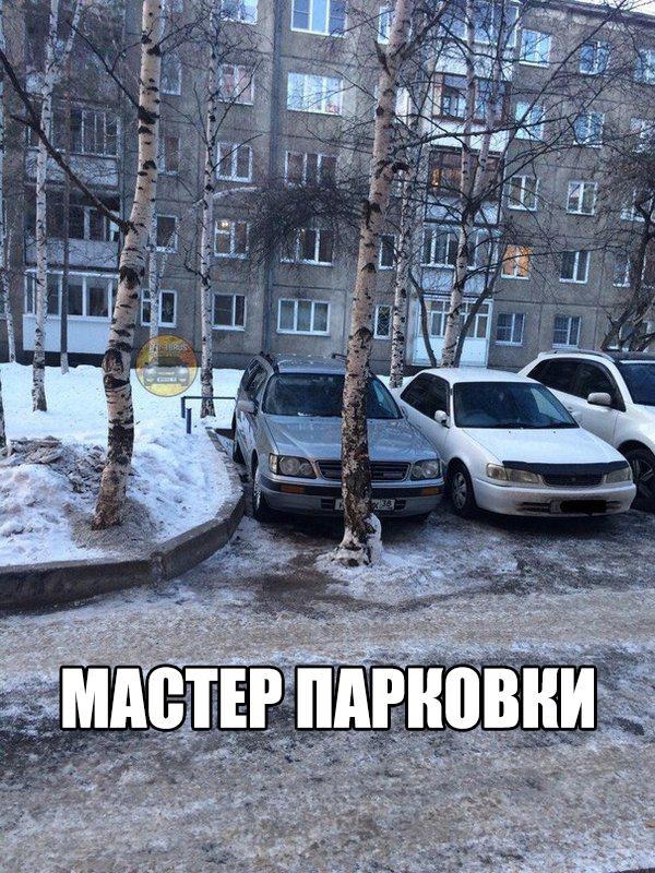 Подборка безудержного веселья