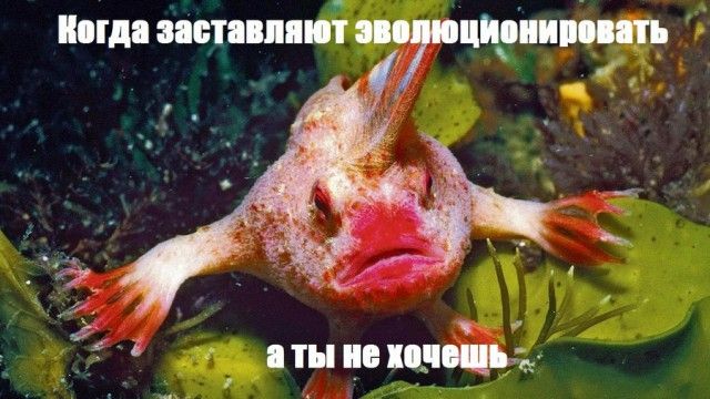 Временный пост. Всякое-разное