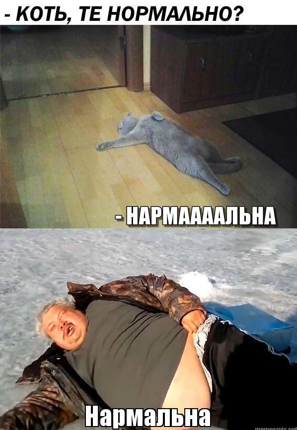 На зарядку позитивом становись!