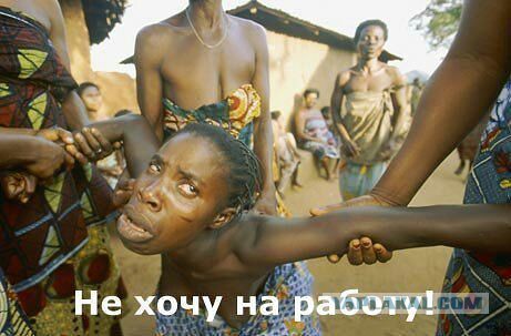 ЮАР после отмены апартеида: Почему роскошные небоскребы превратились в гетто, а на красный свет останавливаться не стоит