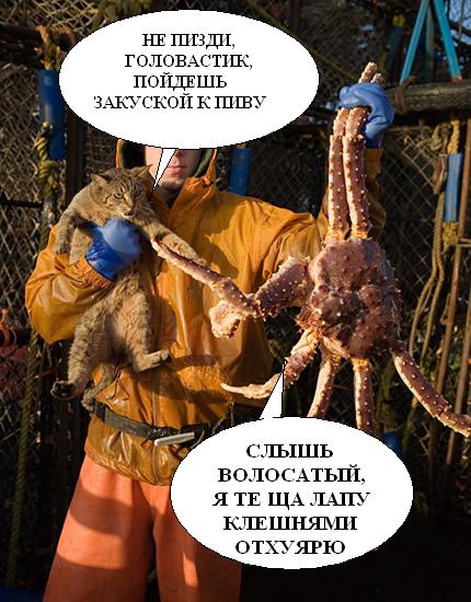 Нечеловеческая борьба кота и краба.