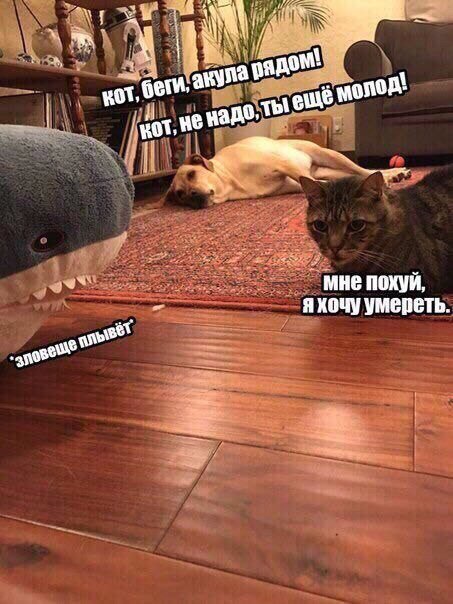 Немного картинок в этот понедельник