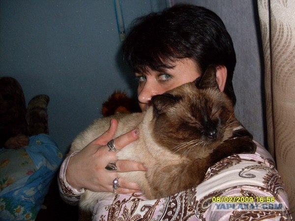 Эпический Котовторник!