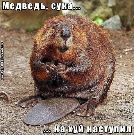 Немного картинок на вечер