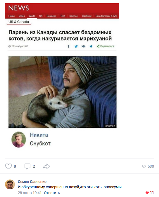 Смешные комментарии из социальных сетей 02.11.2018
