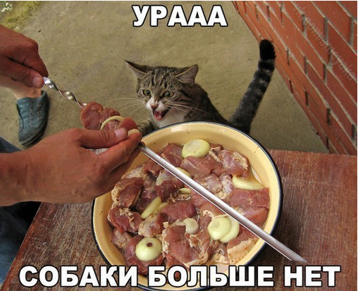 Майские шашлыки закончились. И началась чернуха!