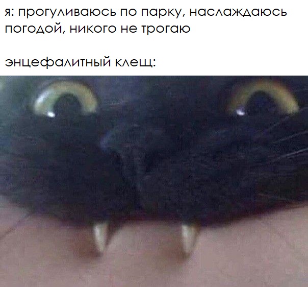 Немного картинок на вечер