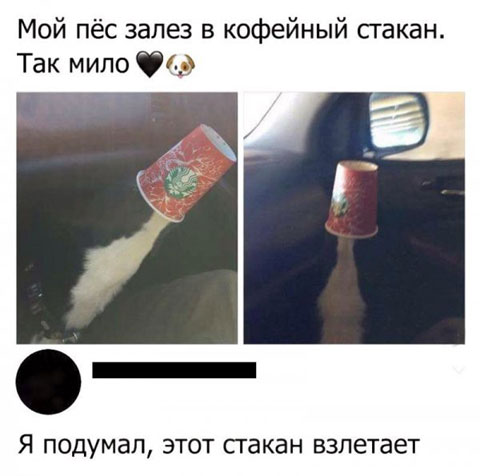 Картинки с надписями, истории и анекдоты