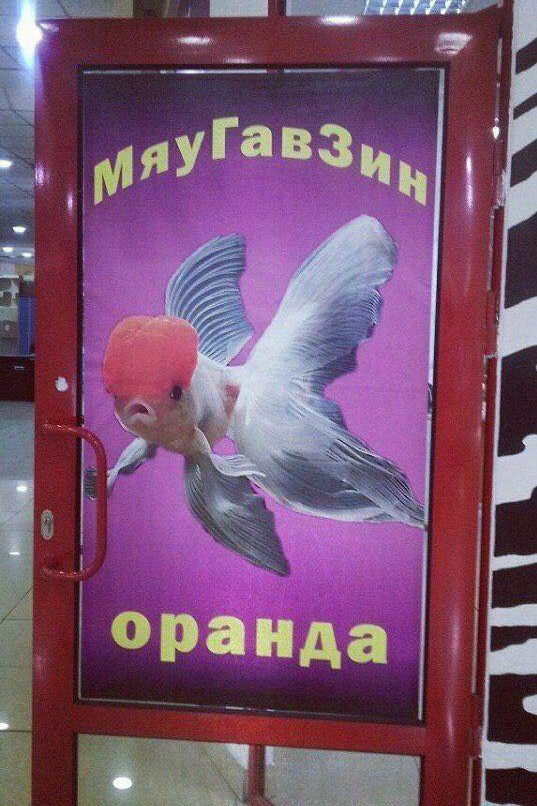Картинки разные нужны, картинки всякие важны