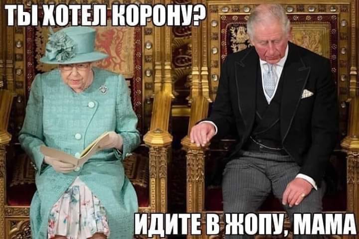 14179964.jpg