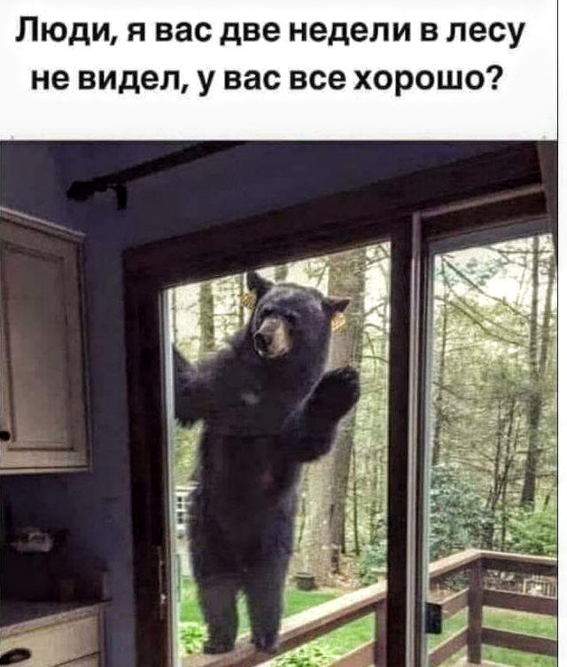 Немного картинок для настроения 20.04.20