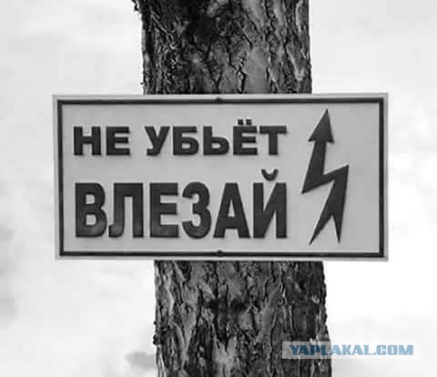 Так себе картинки #13