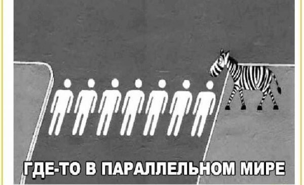 С размахом