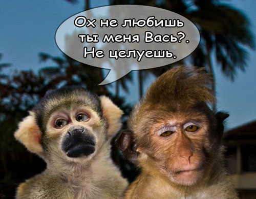 Проспал экзамен!