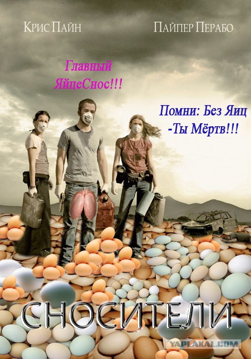 Фотожаба: Носители