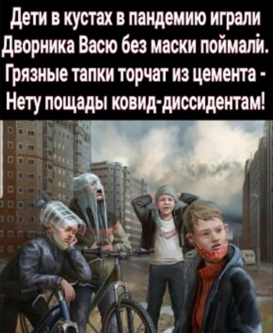 14885964.jpg